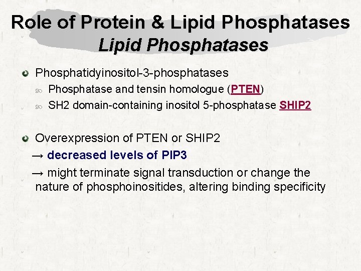 Role of Protein & Lipid Phosphatases Phosphatidyinositol-3 -phosphatases Phosphatase and tensin homologue (PTEN) SH