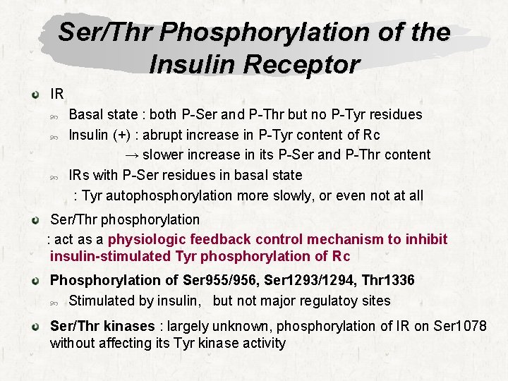 Ser/Thr Phosphorylation of the Insulin Receptor IR Basal state : both P-Ser and P-Thr