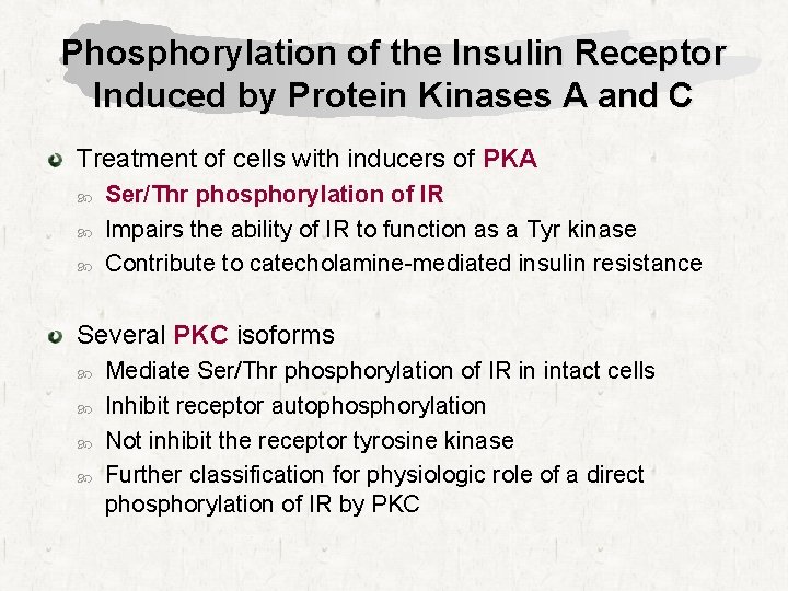 Phosphorylation of the Insulin Receptor Induced by Protein Kinases A and C Treatment of