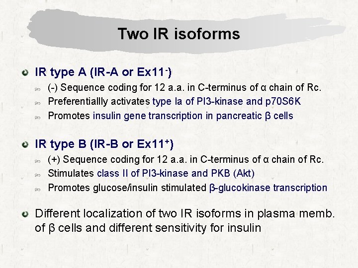 Two IR isoforms IR type A (IR-A or Ex 11 -) (-) Sequence coding