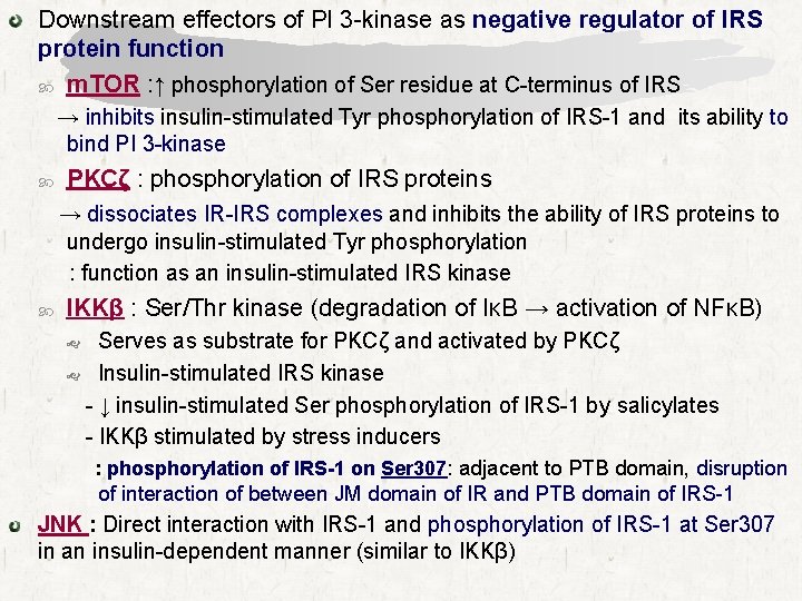 Downstream effectors of PI 3 -kinase as negative regulator of IRS protein function m.
