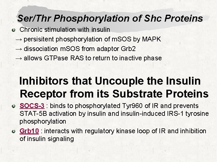 Ser/Thr Phosphorylation of Shc Proteins Chronic stimulation with insulin → persisitent phosphorylation of m.
