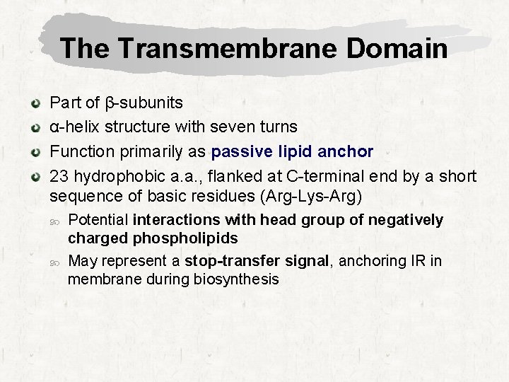 The Transmembrane Domain Part of β-subunits α-helix structure with seven turns Function primarily as