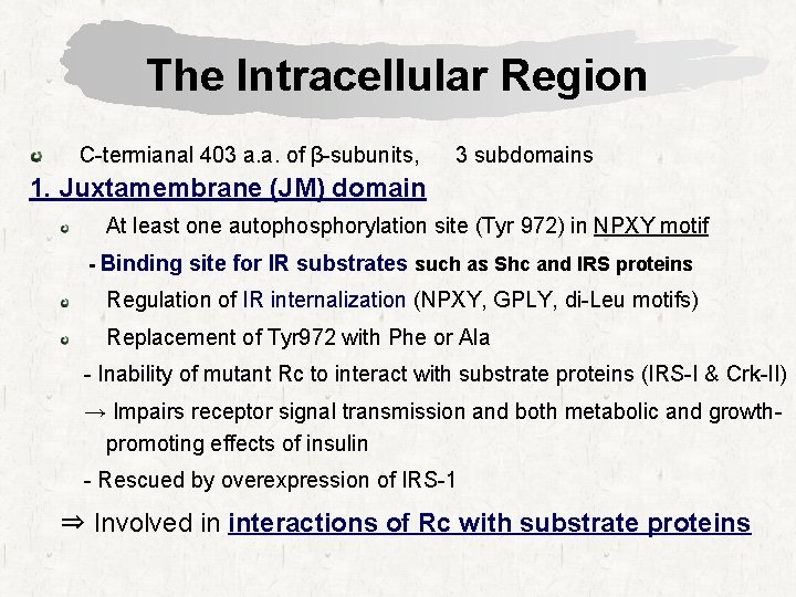 The Intracellular Region C-termianal 403 a. a. of β-subunits, 3 subdomains 1. Juxtamembrane (JM)