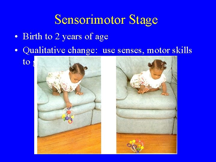 Sensorimotor Stage • Birth to 2 years of age • Qualitative change: use senses,