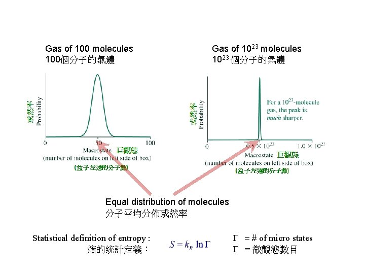 Gas of 100 molecules 100個分子的氣體 Gas of 1023 molecules 1023 個分子的氣體 Equal distribution of