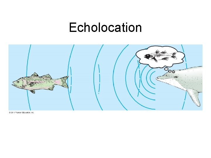 Bellwork 02282014 1 Change 10 To 25 Of