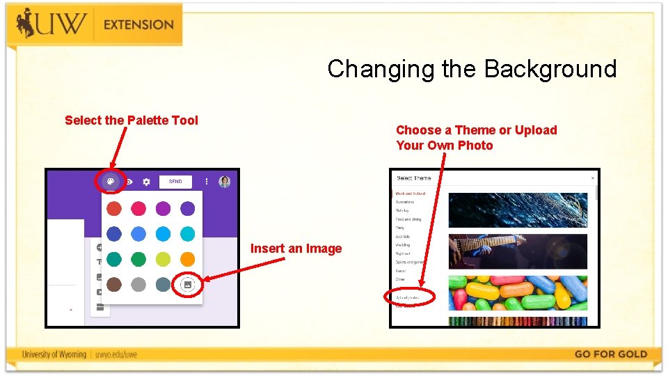 Changing the Background Select the Palette Tool Choose a Theme or Upload Your Own
