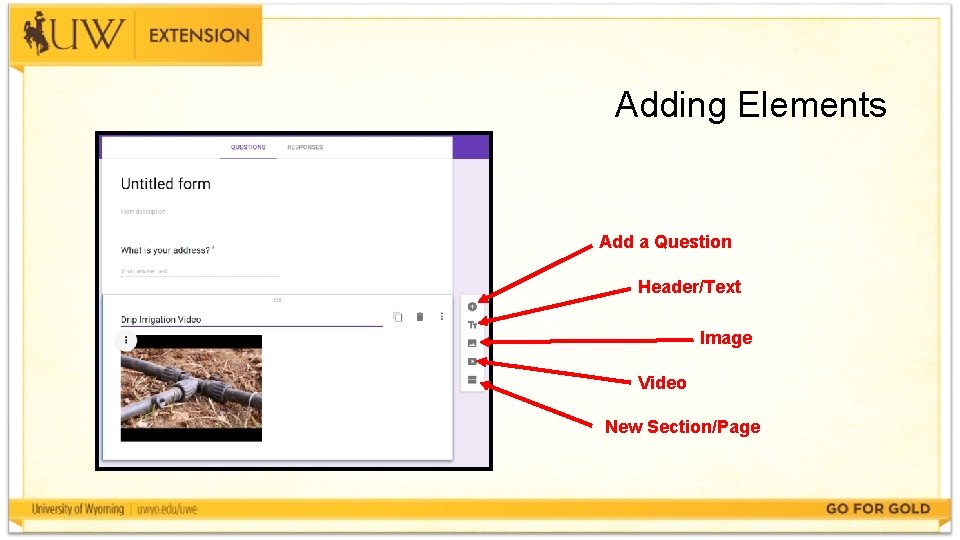 Adding Elements Add a Question Header/Text Image Video New Section/Page 