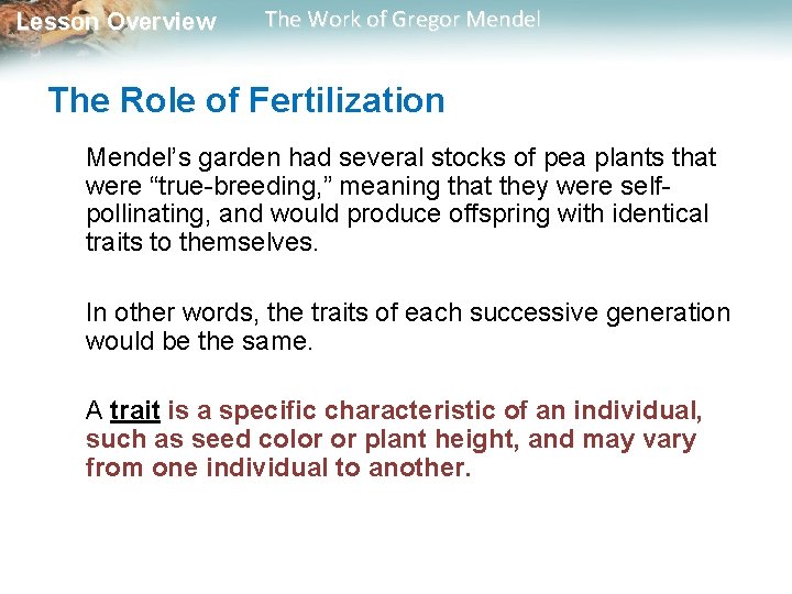Lesson Overview The Work of Gregor Mendel The Role of Fertilization Mendel’s garden had Lesson Overview The Work of Gregor Mendel The Role of Fertilization Mendel’s garden had