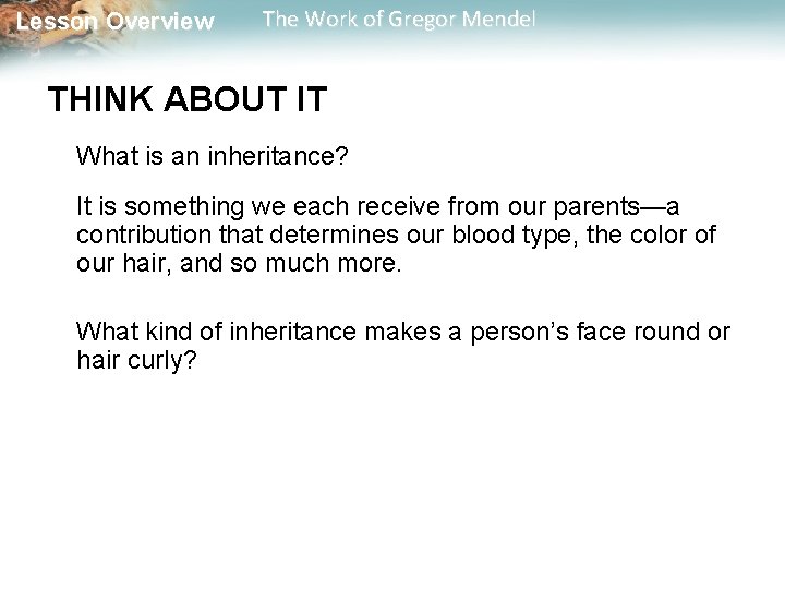 Lesson Overview The Work of Gregor Mendel THINK ABOUT IT What is an inheritance? Lesson Overview The Work of Gregor Mendel THINK ABOUT IT What is an inheritance?