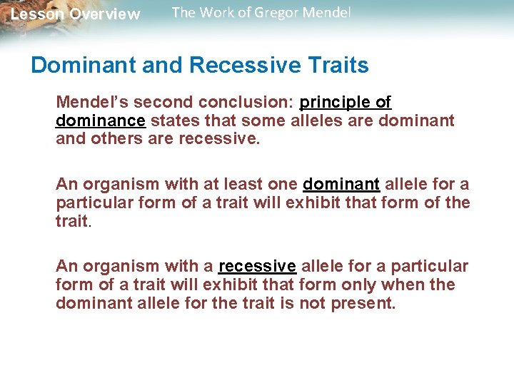 Lesson Overview The Work of Gregor Mendel Dominant and Recessive Traits Mendel’s second conclusion: Lesson Overview The Work of Gregor Mendel Dominant and Recessive Traits Mendel’s second conclusion: