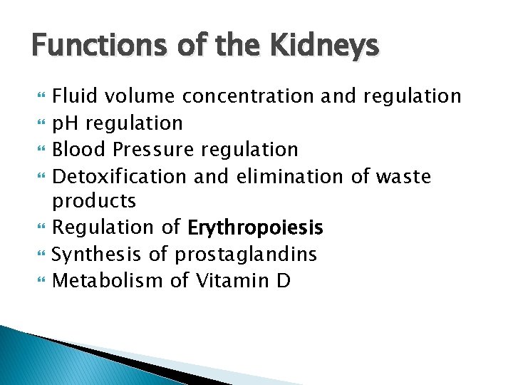 Functions of the Kidneys Fluid volume concentration and regulation p. H regulation Blood Pressure