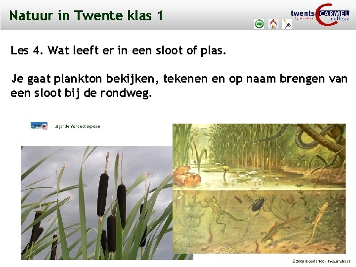 Natuur in Twente klas 1 Les 4. Wat leeft er in een sloot of