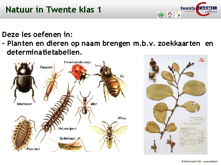 Natuur in Twente klas 1 Deze les oefenen in: - Planten en dieren op