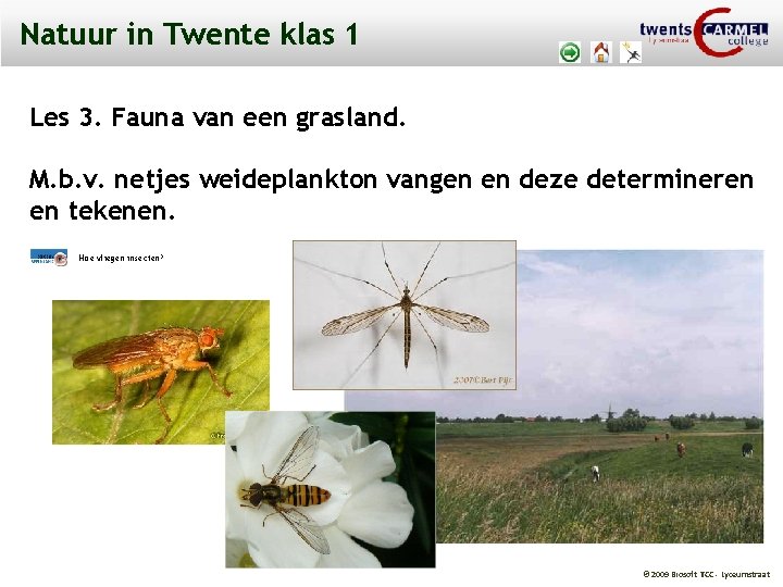 Natuur in Twente klas 1 Les 3. Fauna van een grasland. M. b. v.