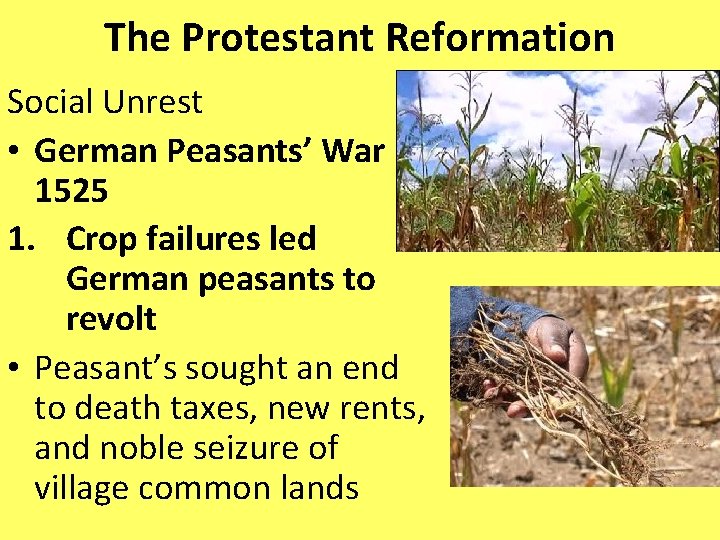 The Protestant Reformation Social Unrest • German Peasants’ War 1525 1. Crop failures led