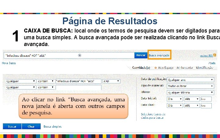 Página de Resultados 1 CAIXA DE BUSCA: local onde os termos de pesquisa devem