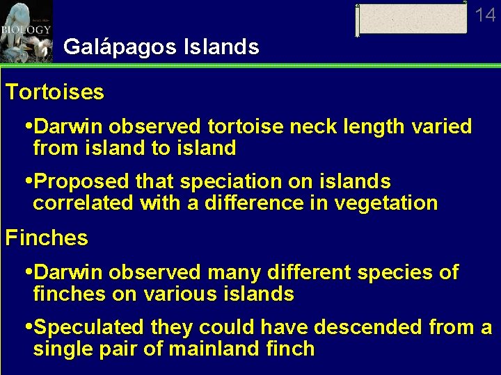 14 Galápagos Islands Tortoises Darwin observed tortoise neck length varied from island to island