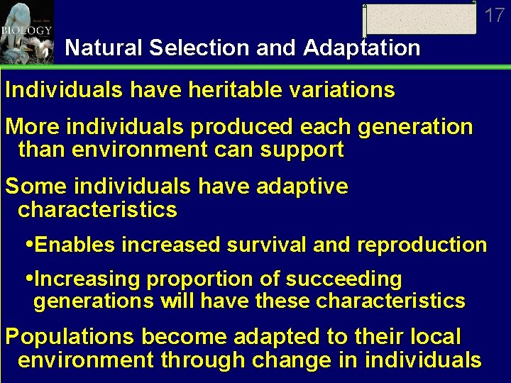 17 Natural Selection and Adaptation Individuals have heritable variations More individuals produced each generation