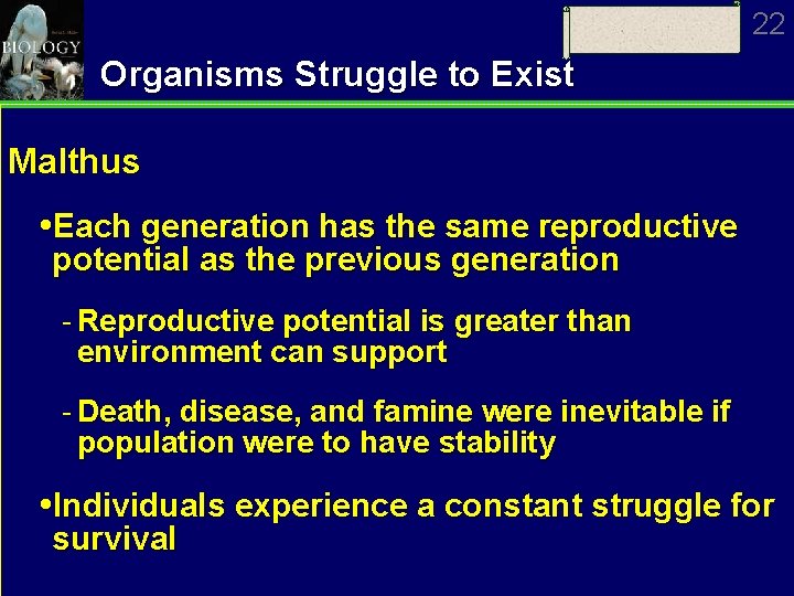 22 Organisms Struggle to Exist Malthus Each generation has the same reproductive potential as