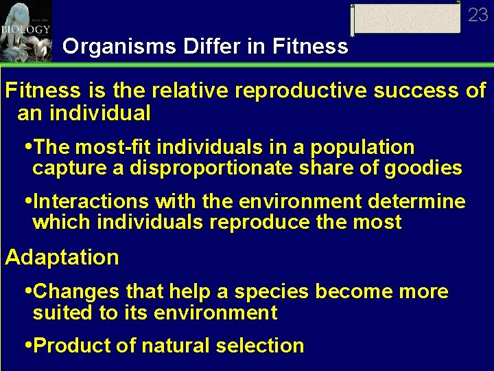 23 Organisms Differ in Fitness is the relative reproductive success of an individual The