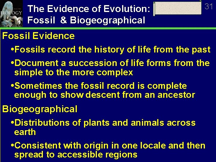 The Evidence of Evolution: Fossil & Biogeographical 31 Fossil Evidence Fossils record the history
