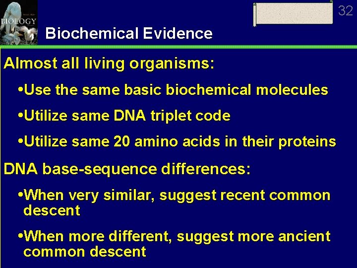 32 Biochemical Evidence Almost all living organisms: Use the same basic biochemical molecules Utilize