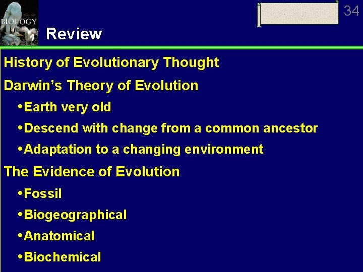 34 Review History of Evolutionary Thought Darwin’s Theory of Evolution Earth very old Descend