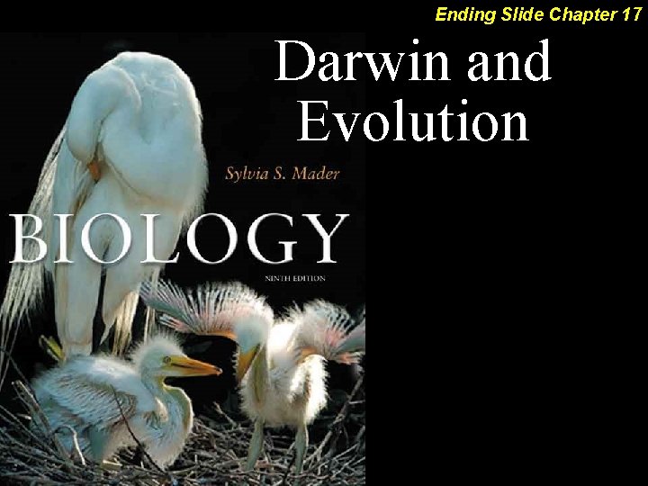 Ending Slide Chapter 17 Darwin and Evolution 