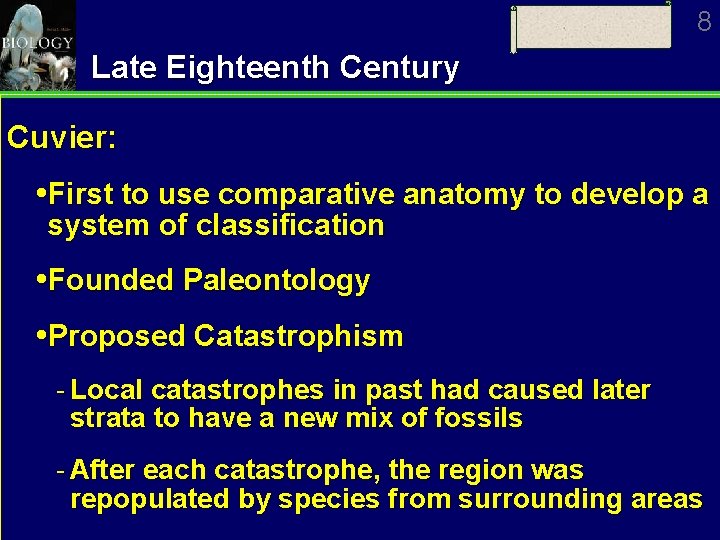 8 Late Eighteenth Century Cuvier: First to use comparative anatomy to develop a system
