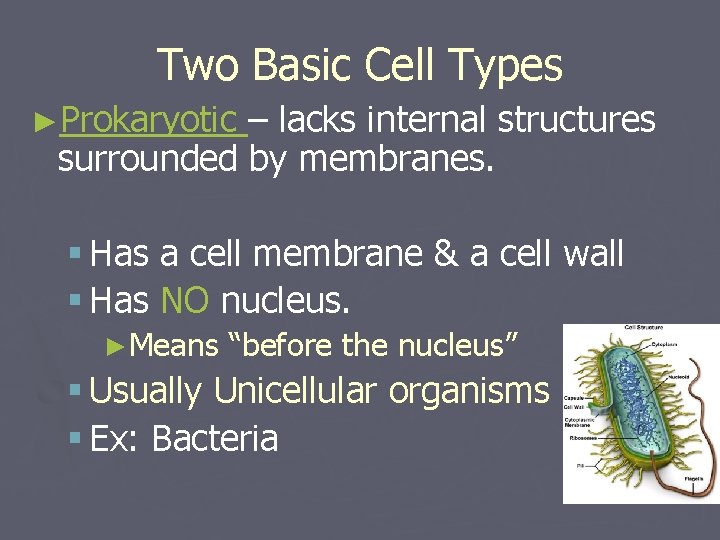 History of Cell Discovery Chapter 4 Microscope view