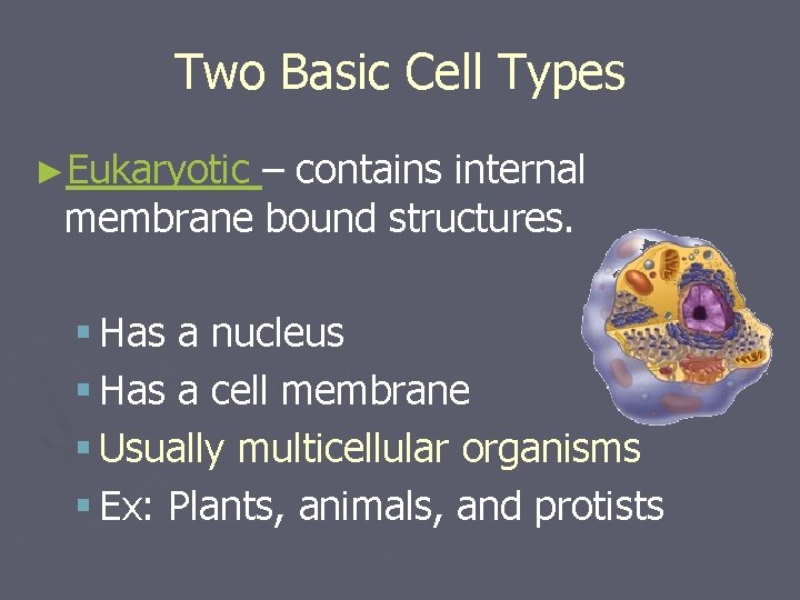 History of Cell Discovery Chapter 4 Microscope view