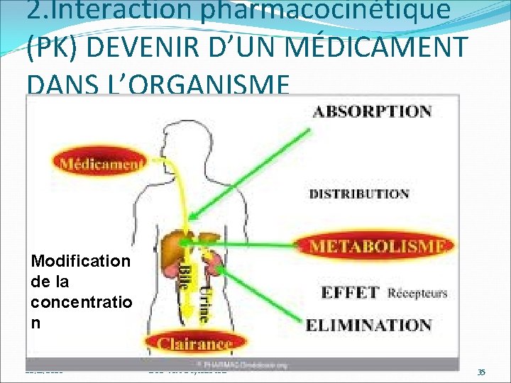 2. Interaction pharmacocinétique (PK) DEVENIR D’UN MÉDICAMENT DANS L’ORGANISME Modification de la concentratio n