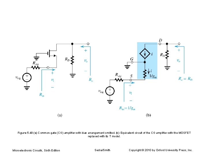 Figure 5. 48 (a) Common-gate (CG) amplifier with bias arrangement omitted. (b) Equivalent circuit
