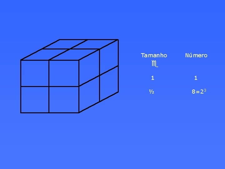 Tamanho Número e 1 ½ 1 8=23 