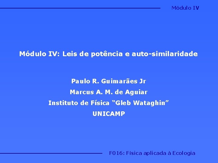 Módulo IV: Leis de potência e auto-similaridade Paulo R. Guimarães Jr Marcus A. M.