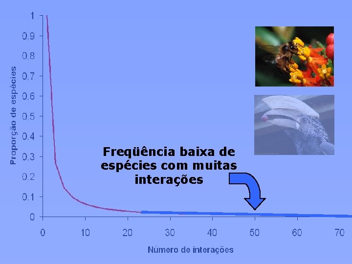 Freqüência baixa de espécies com muitas interações 