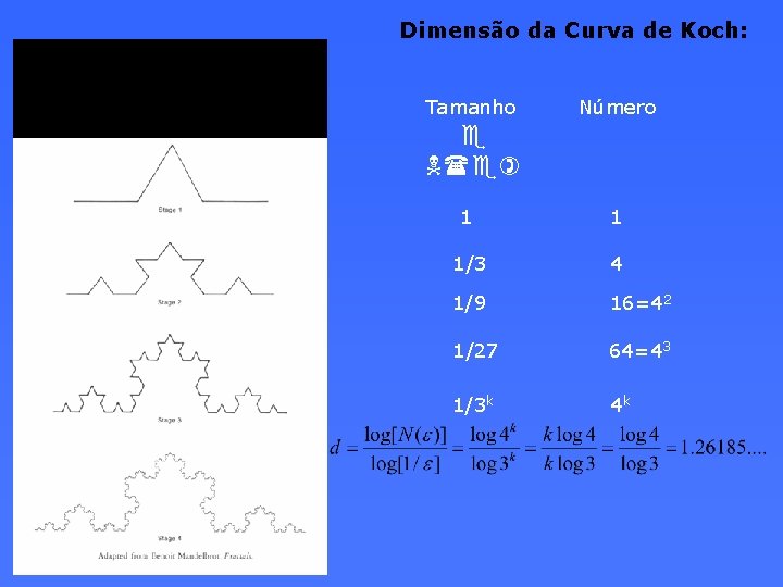 Dimensão da Curva de Koch: Tamanho Número e N(e) 1 1 1/3 4 1/9