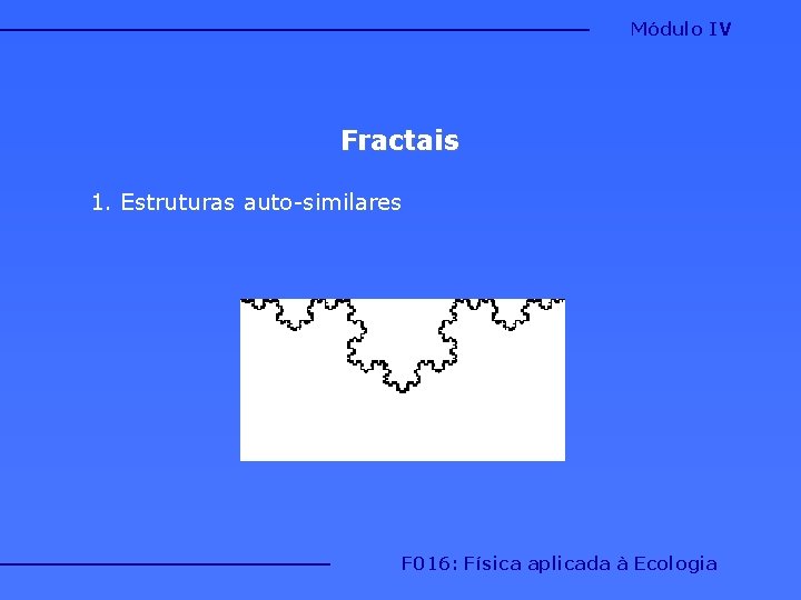 Módulo IV Fractais 1. Estruturas auto-similares F 016: Física aplicada à Ecologia 