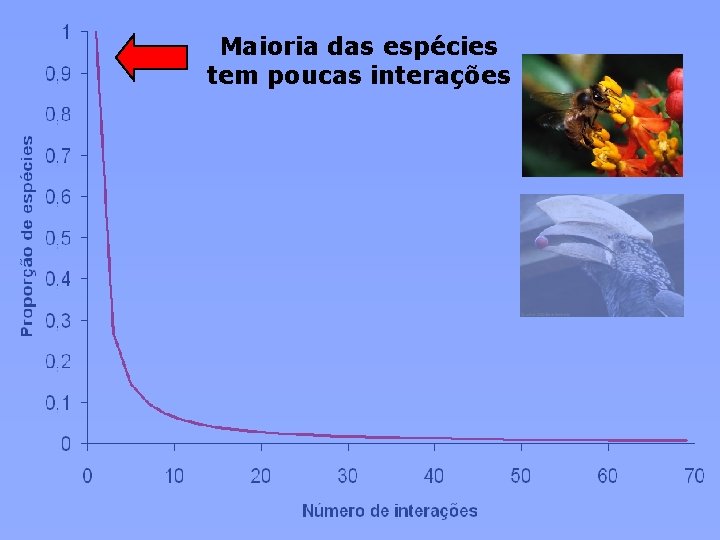 Maioria das espécies tem poucas interações 