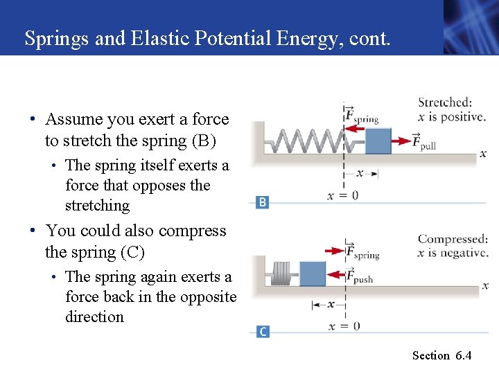 Springs and Elastic Potential Energy, cont. • Assume you exert a force to stretch Springs and Elastic Potential Energy, cont. • Assume you exert a force to stretch