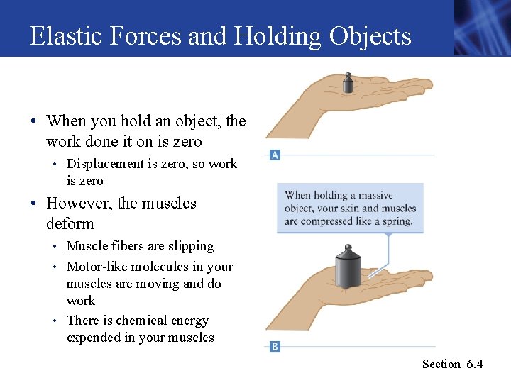 Elastic Forces and Holding Objects • When you hold an object, the work done Elastic Forces and Holding Objects • When you hold an object, the work done