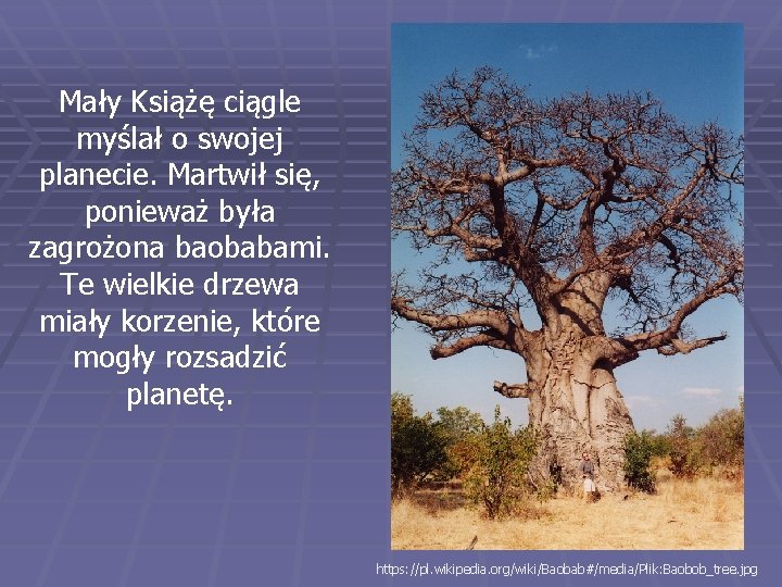 Mały Książę ciągle myślał o swojej planecie. Martwił się, ponieważ była zagrożona baobabami. Te Mały Książę ciągle myślał o swojej planecie. Martwił się, ponieważ była zagrożona baobabami. Te