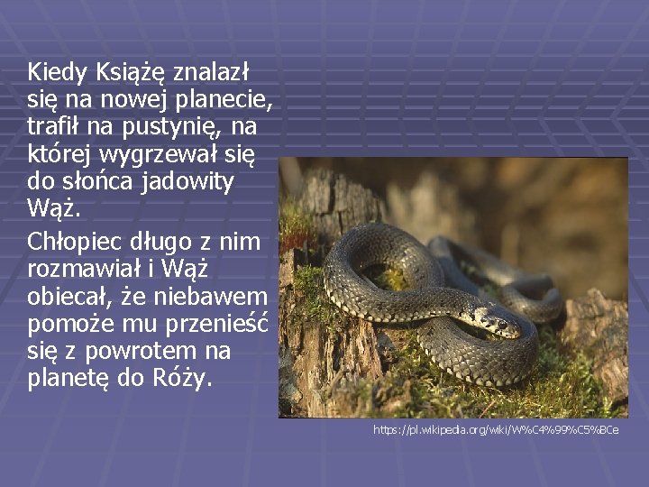 Kiedy Książę znalazł się na nowej planecie, trafił na pustynię, na której wygrzewał się Kiedy Książę znalazł się na nowej planecie, trafił na pustynię, na której wygrzewał się