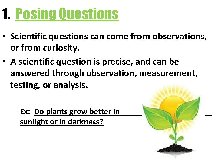 1. Posing Questions • Scientific questions can come from observations, or from curiosity. • 1. Posing Questions • Scientific questions can come from observations, or from curiosity. •