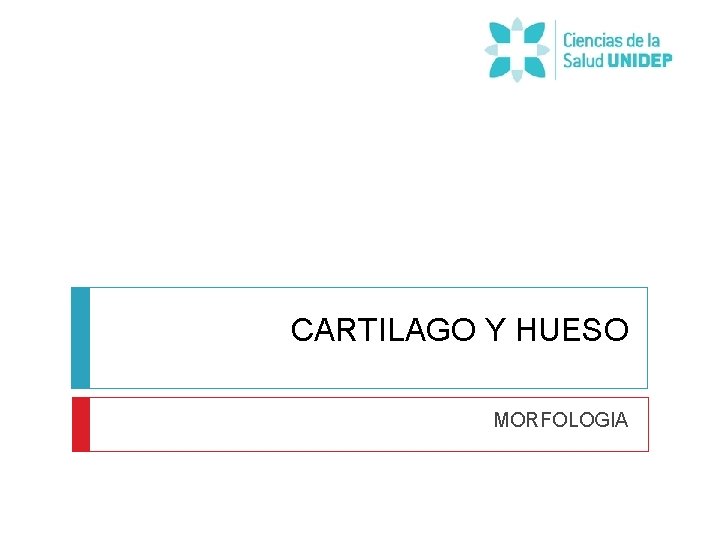 CARTILAGO Y HUESO MORFOLOGIA 