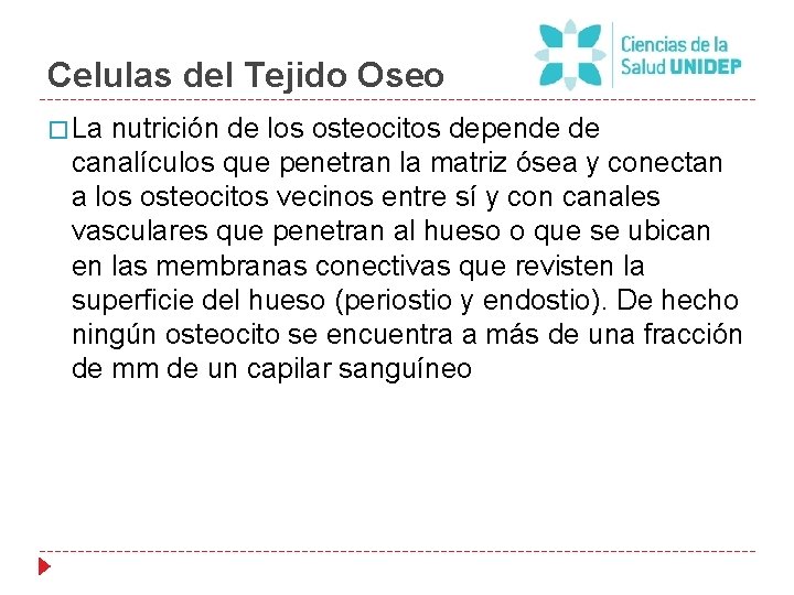 Celulas del Tejido Oseo � La nutrición de los osteocitos depende de canalículos que