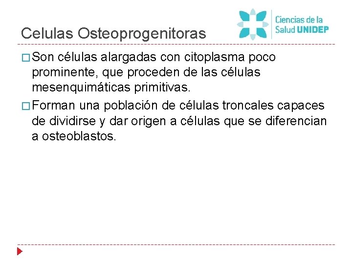 Celulas Osteoprogenitoras � Son células alargadas con citoplasma poco prominente, que proceden de las