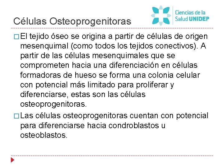 Células Osteoprogenitoras � El tejido óseo se origina a partir de células de origen